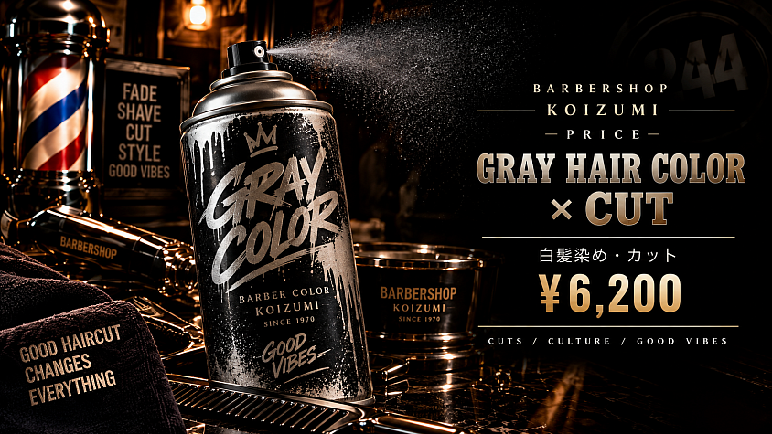 GRAY HAIR COLOR × CUT — STREET ART × BARBER VIBES.